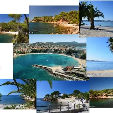 De Fabregas Proche Des Plages